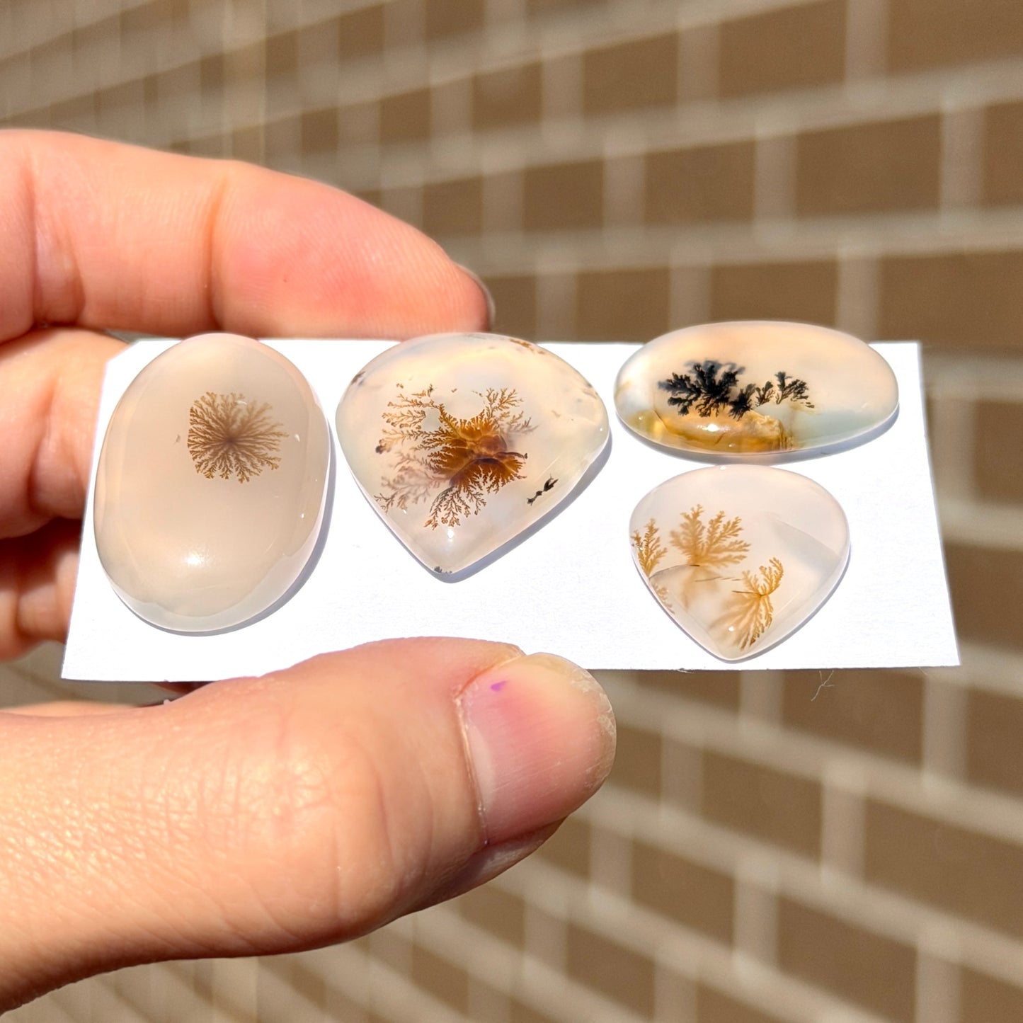 20-30mm Scenic Dendritic Agate Cabochon Smooth - Choose your Stone (W14)