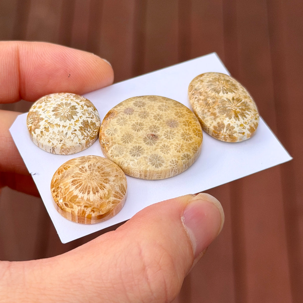 17-25mm Cream Fossilised Coral Cabochon Smooth - Choose your Stone (A)W2