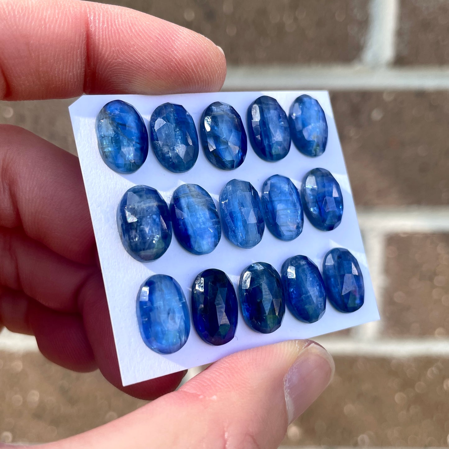 12x8mm Blue Kyanite Oval Cabochon Rose cut - Choose your Stone (W6)