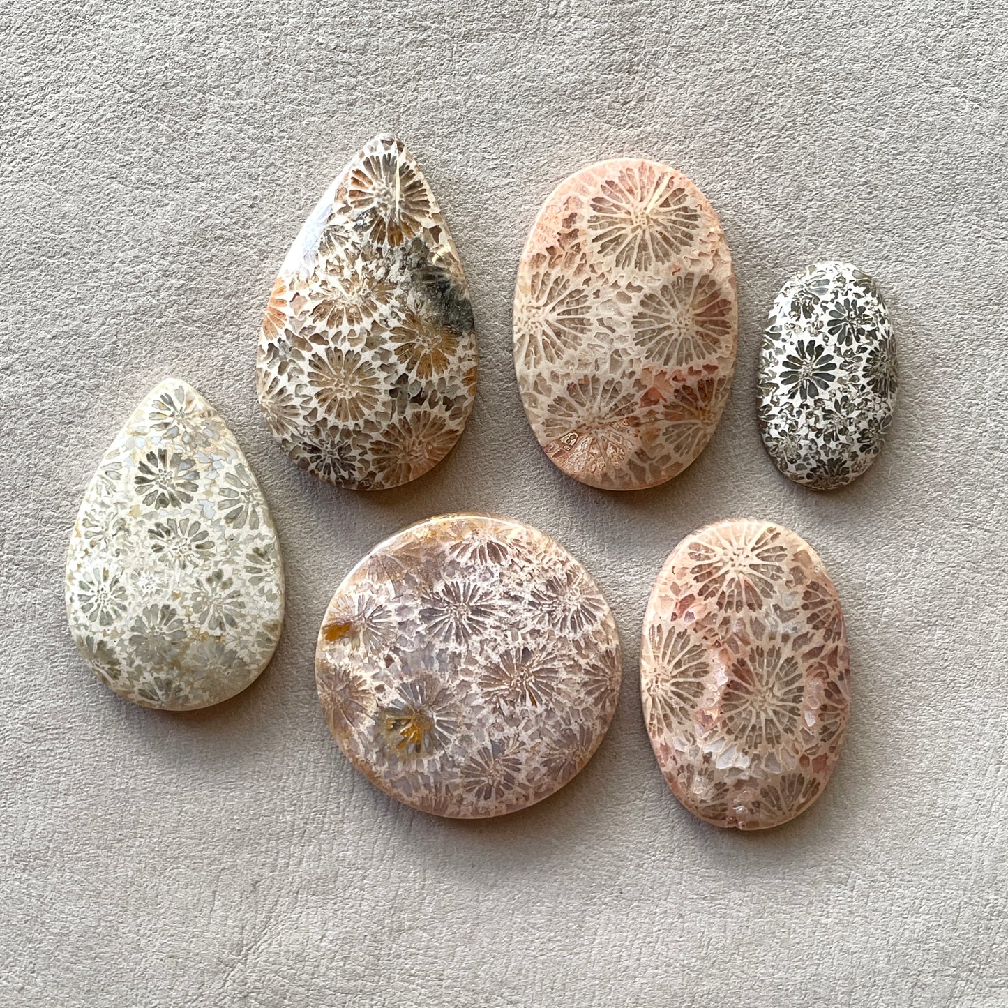 Fossil Coral Cabochon Smooth - Choose your Stone (W7)