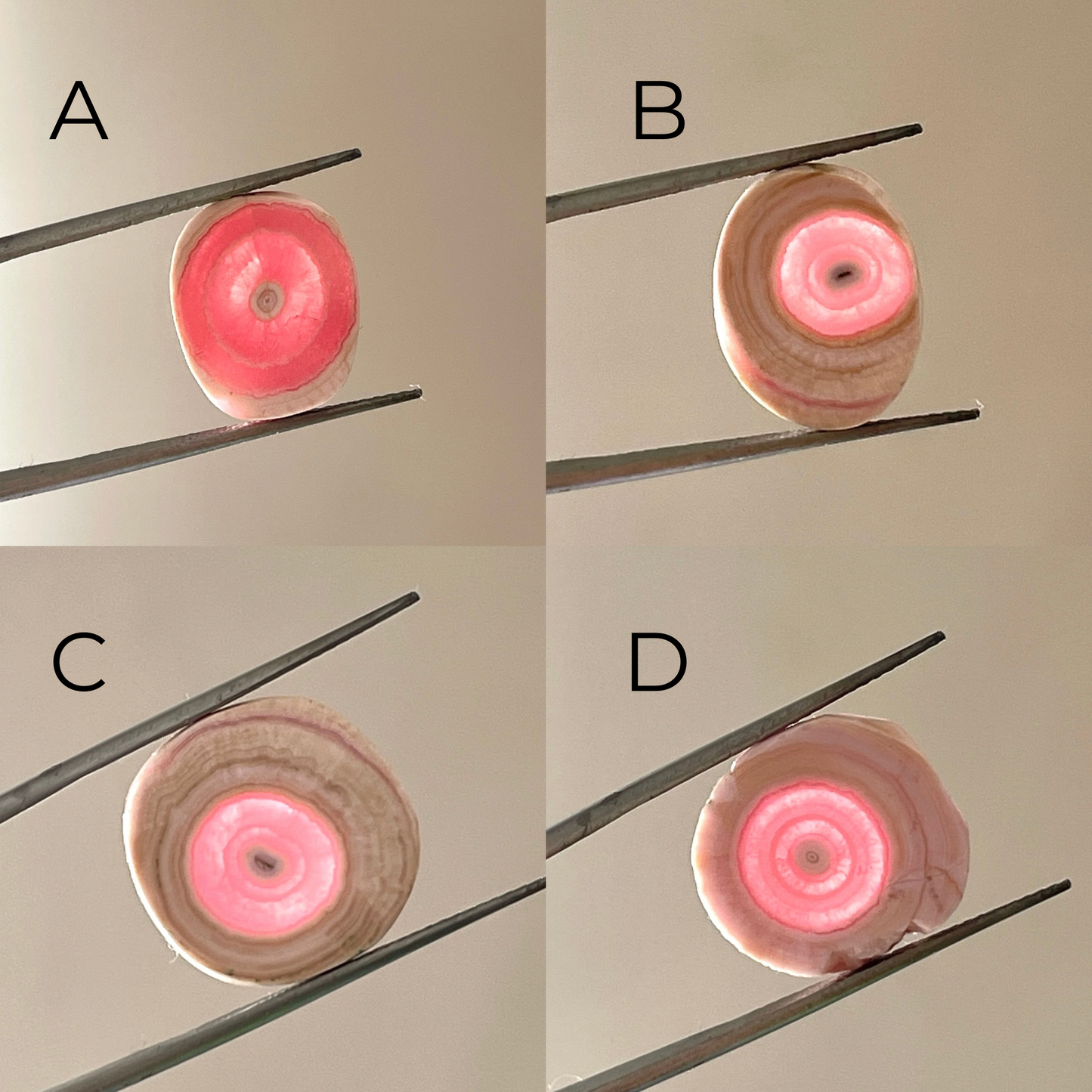 Argentina Rhodochrosite Stalactite Slice/Cabochon Polished - Choose your Slice (W9)