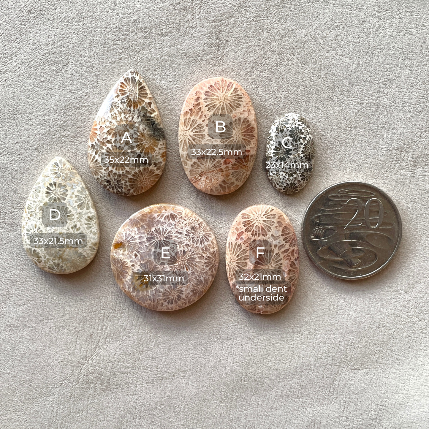 Fossil Coral Cabochon Smooth - Choose your Stone (W7)
