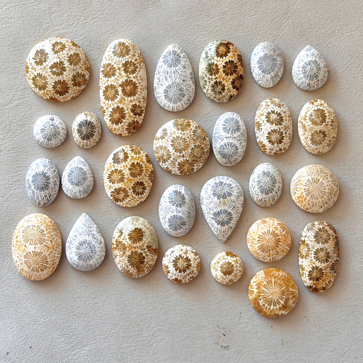 Beige/Cream/Grey Fossil Coral Cabochon Smooth - Choose your Stone (W12)