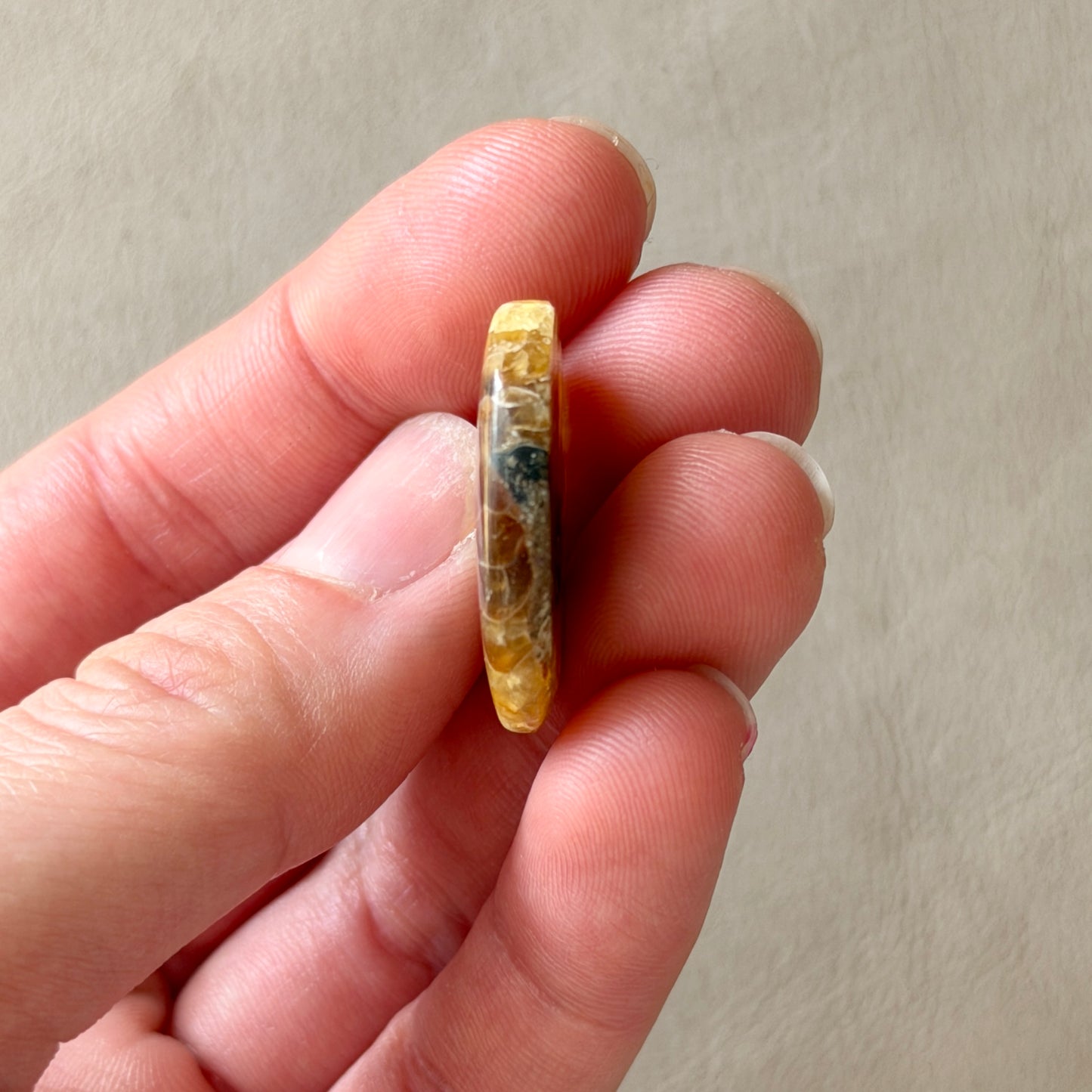 Ammonite Fossil Oval Cabochon - 26 x 20mm (W5)