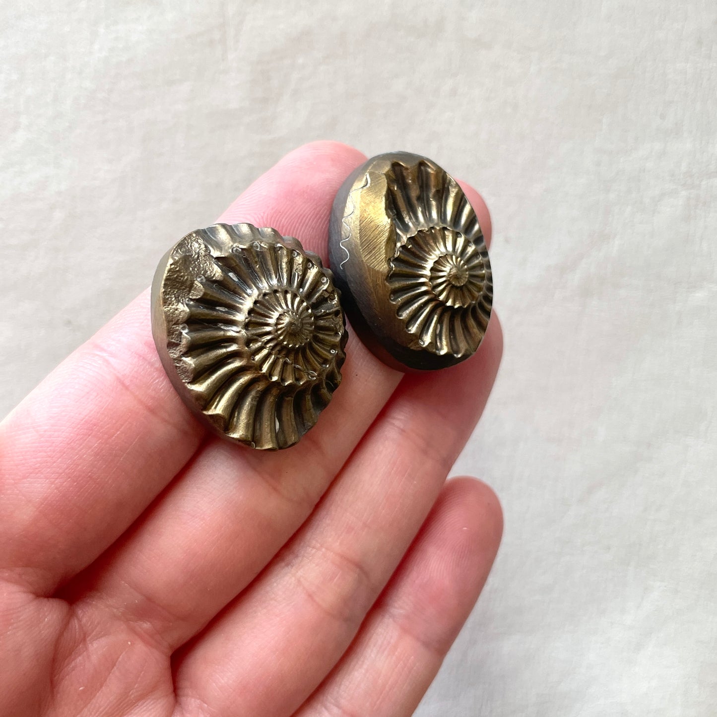 Pyritized Negative Ammonite Fossil Cabochon - Choose your Stone (W11)