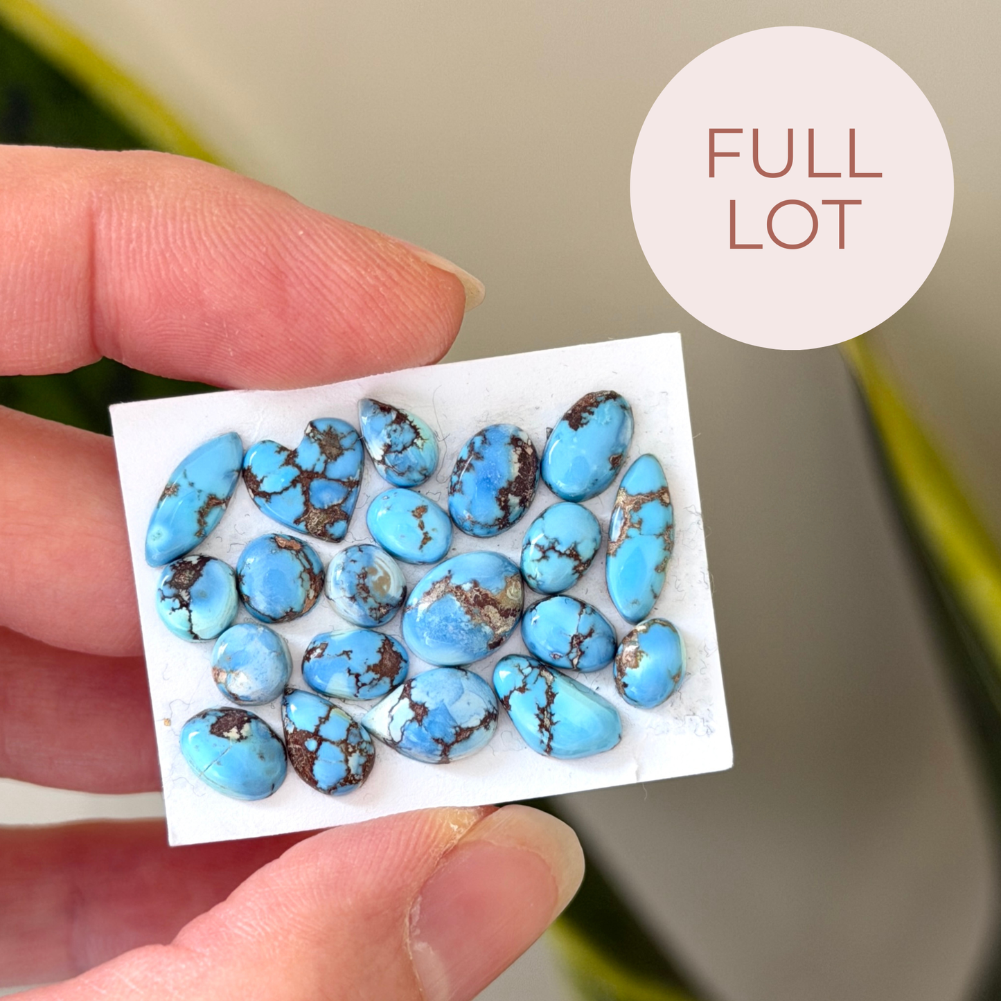 20pcs Golden Hill Turquoise (Kazakhstan) Cabochons Smooth - 5-12mm (FULL LOT)(W12)