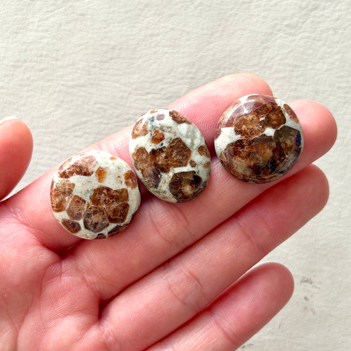 Garnet in Limestone Cabochon Smooth - Choose your Stone (W14)