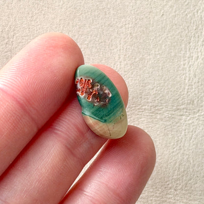 ‘Shark Bay, Western Australia' Imperial Jasper Cabochon - 19mm x 11mm (W3)