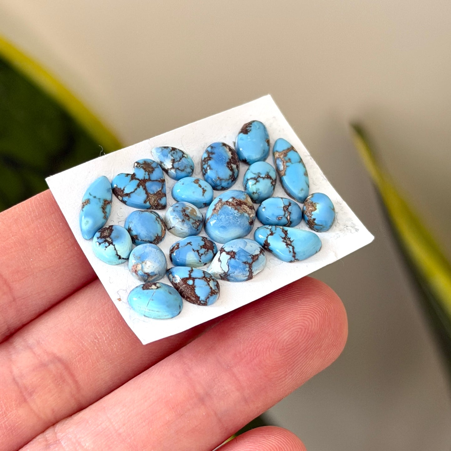 20pcs Golden Hill Turquoise (Kazakhstan) Cabochons Smooth - 5-12mm (FULL LOT)(W12)