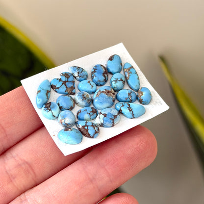20pcs Golden Hill Turquoise (Kazakhstan) Cabochons Smooth - 5-12mm (FULL LOT)(W12)