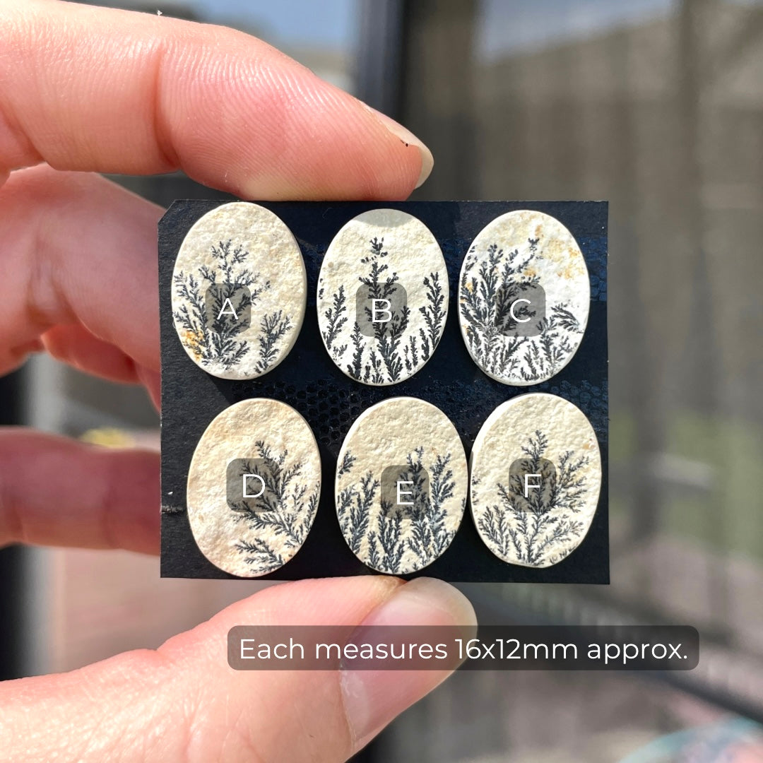 16mm Psilomelane Dendritic Limestone Oval Cabochon Raw-Face - Choose your Stone (W11)