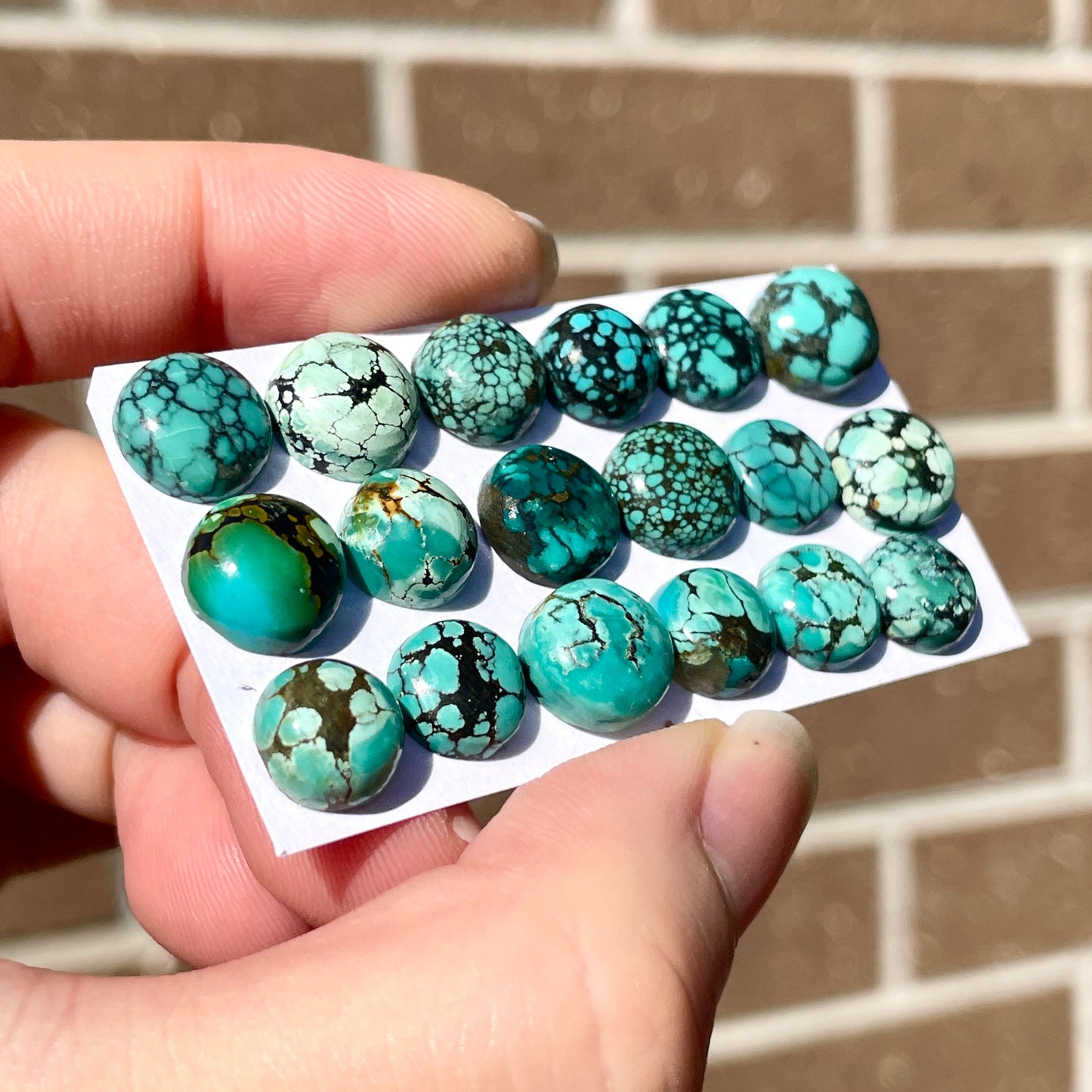 Tibetan Turquoise Round Cabochon Smooth (8mm to 10mm)  - Choose your Stone (W8)