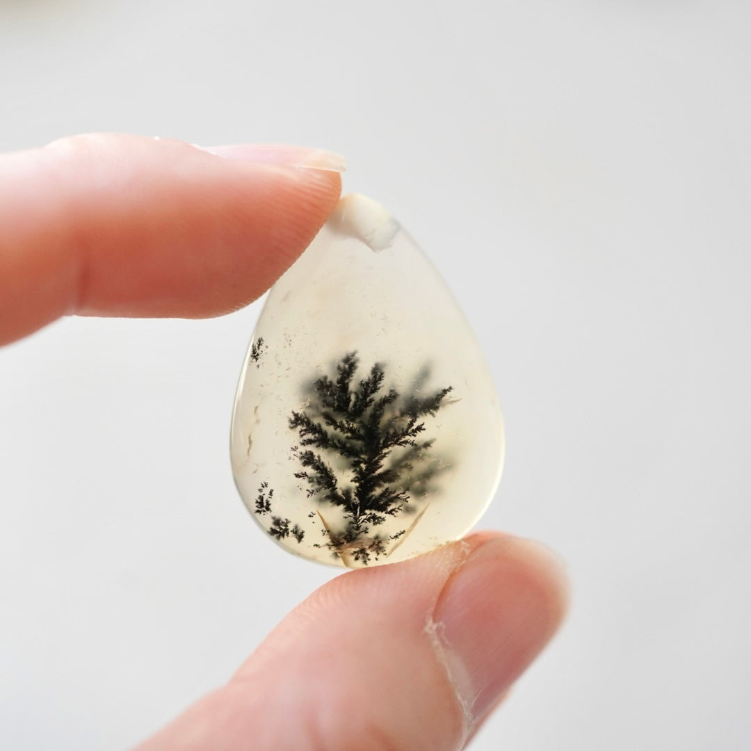 ‘Solitary Pine’ Dendritic Opal Agate Teardrop Cabochon - 29.5mm x 21.5mm (W16)