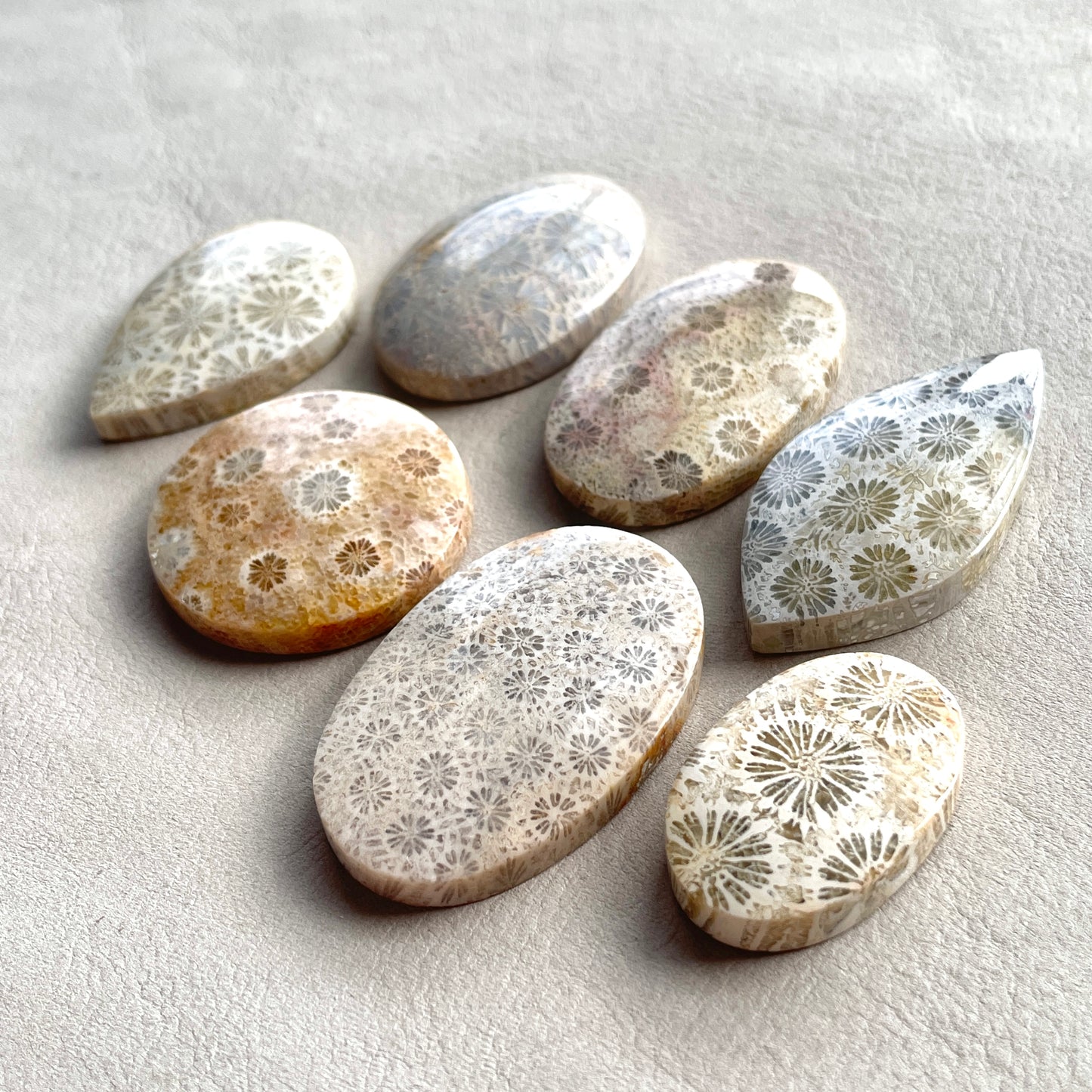 27-42mm Fossilized (Fossil) Coral Cabochon Smooth - Choose your Stone (W2)