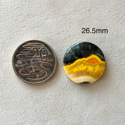 ‘The Sleeping Volcano’ Bumblebee Jasper Round Cabochon - 26.5mm (W16)