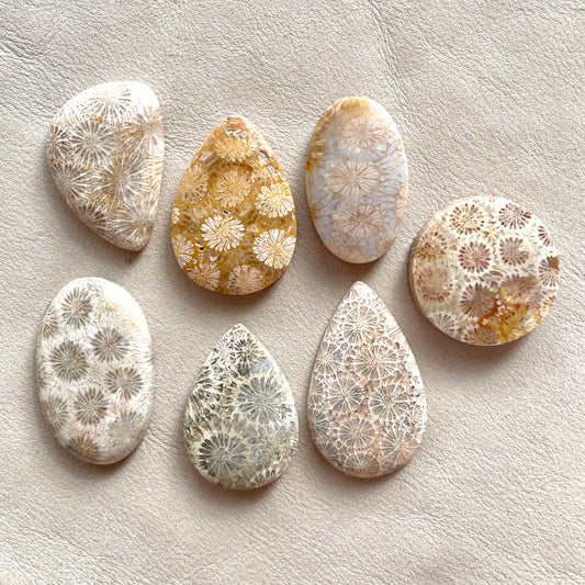 Fossil Coral Cabochon Smooth - Choose your Stone (W8)