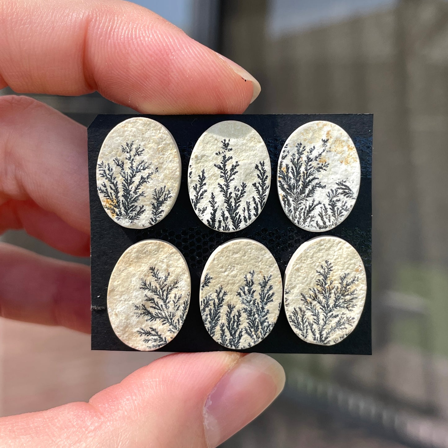16mm Psilomelane Dendritic Limestone Oval Cabochon Raw-Face - Choose your Stone (W11)