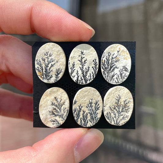 16mm Psilomelane Dendritic Limestone Oval Cabochon Raw-Face - Choose your Stone (W11)