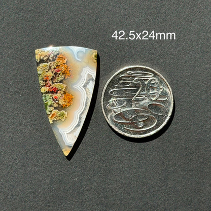 ‘Crescent over the Wild' Nebula Moss Agate Triangle Cabochon - 42.5mm x 24mm (W17)