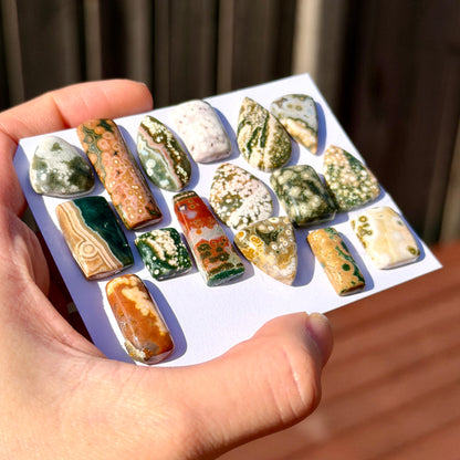 11-30mm Ocean Jasper Cabochon Smooth (Rough Backs) - Choose your Stone (W3)