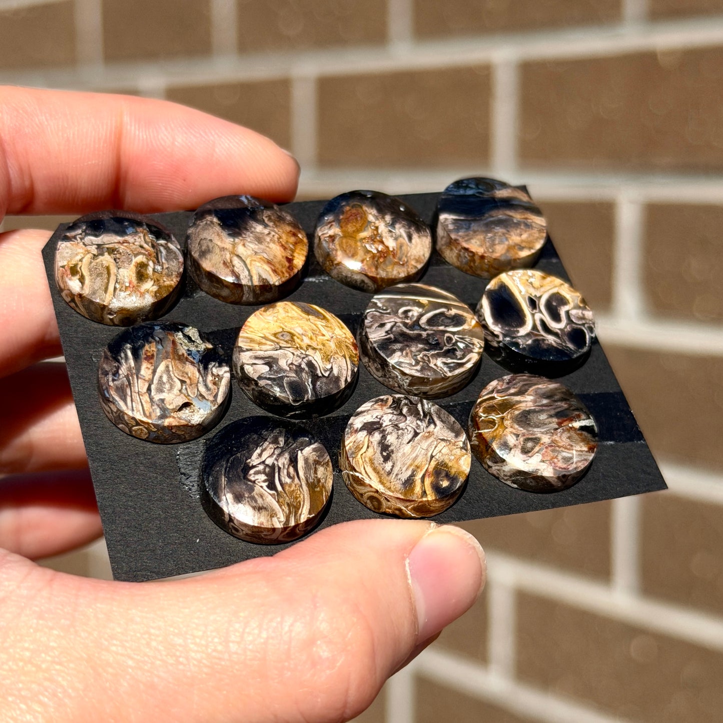 Fossilised/Petrified Black Palm Root Cabochon Round Smooth (15mm) - Choose your Stone (W13)