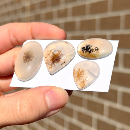 20-30mm Scenic Dendritic Agate Cabochon Smooth - Choose your Stone (W14)