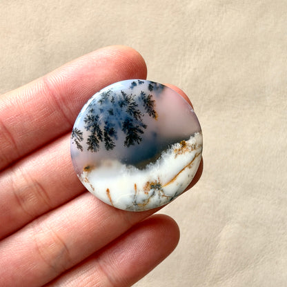‘Winter Canopy' Dendritic Opal Agate Round Cabochon - 33.5mm (W16)