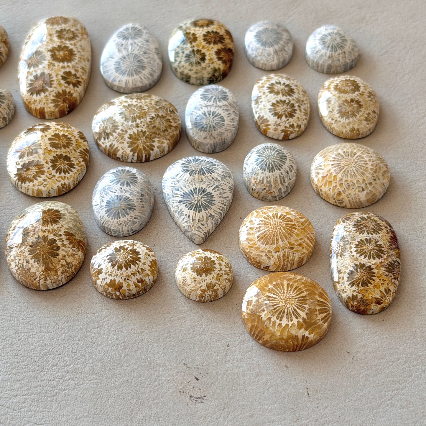 Beige/Cream/Grey Fossil Coral Cabochon Smooth - Choose your Stone (W12)
