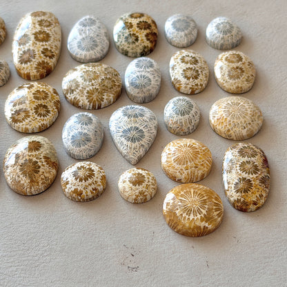 Beige/Cream/Grey Fossil Coral Cabochon Smooth - Choose your Stone (W12)