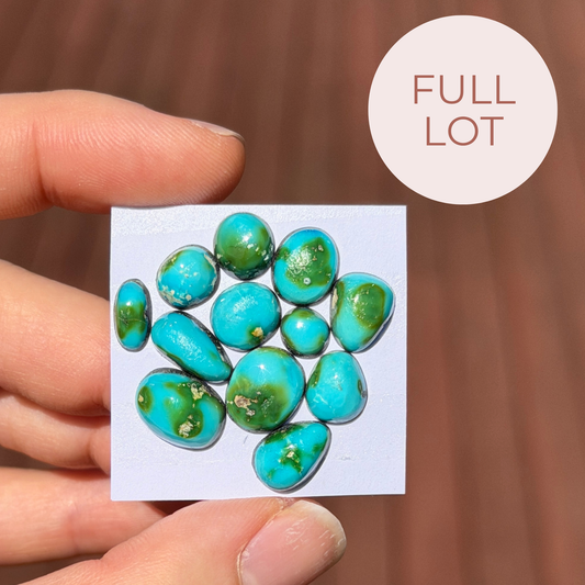 12pcs Sonoran Gold Turquoise Cabochons (Backed) Smooth - 6-12mm (FULL LOT) (W6)