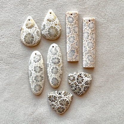 DRILLED Fossil Coral Cabochon Pairs - Choose your Pair (W7)