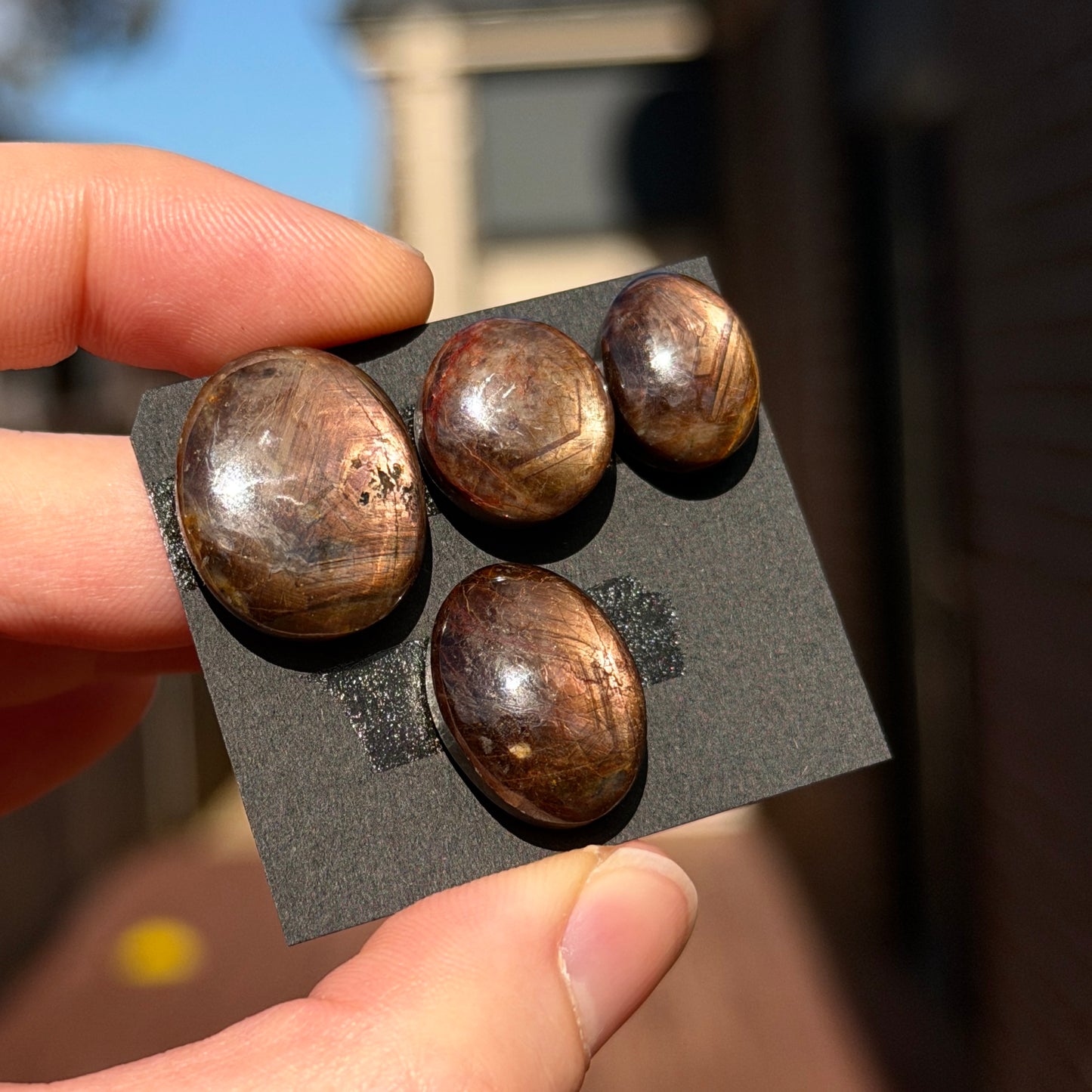 *RARE* Golden Star Sapphire (with Asterism) Oval Cabochon Smooth - Choose your Stone (W14)