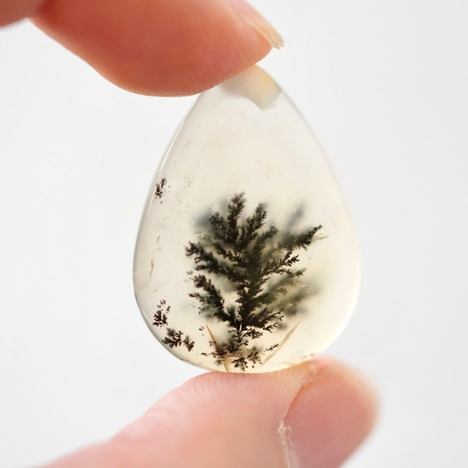 ‘Solitary Pine’ Dendritic Opal Agate Teardrop Cabochon - 29.5mm x 21.5mm (W16)