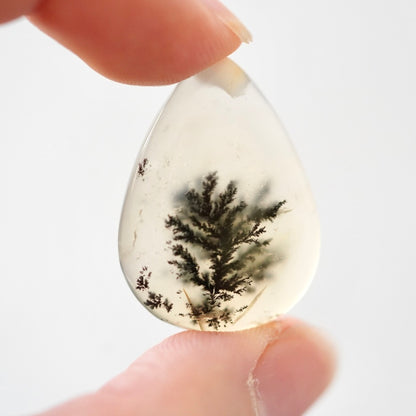 ‘Solitary Pine’ Dendritic Opal Agate Teardrop Cabochon - 29.5mm x 21.5mm (W16)