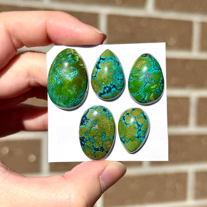 19-26mm Green with Bright Blue Veining Hubei Turquoise Cabochon Smooth (Backed) - Choose your Stone (W11)