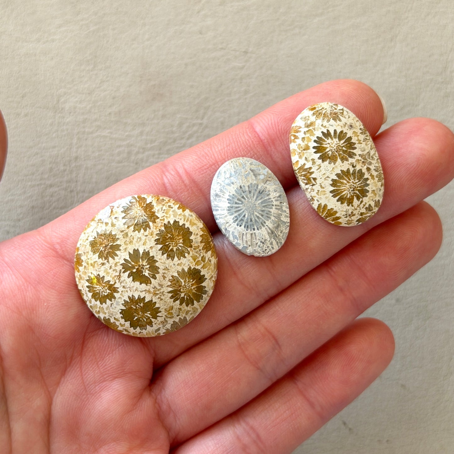 Beige/Cream/Grey Fossil Coral Cabochon Smooth - Choose your Stone (W12)