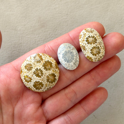 Beige/Cream/Grey Fossil Coral Cabochon Smooth - Choose your Stone (W12)