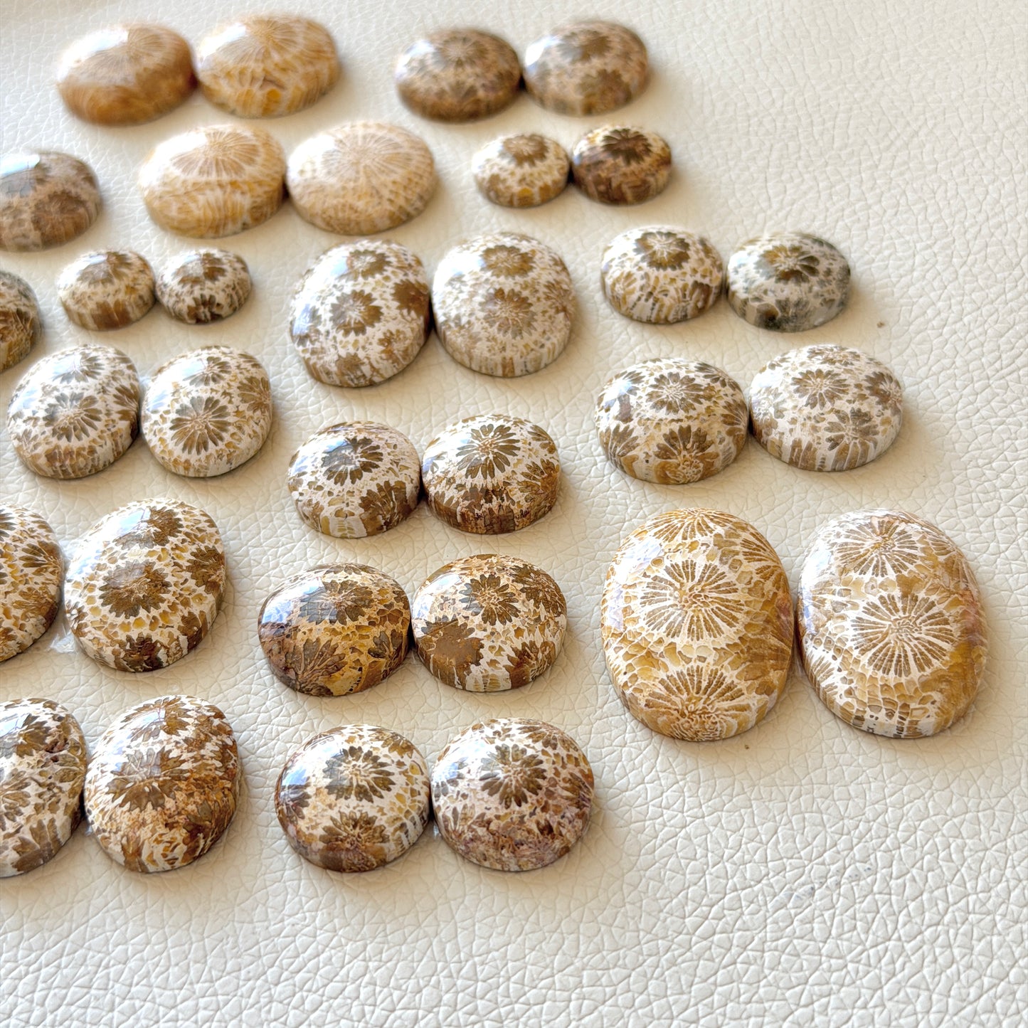 Cream/Beige Fossilised Coral Cabochon Pairs (Round & Oval) - Choose your Pair (W1)