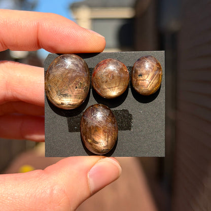 *RARE* Golden Star Sapphire (with Asterism) Oval Cabochon Smooth - Choose your Stone (W14)