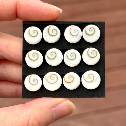 9-11mm Operculum Shell (Shiva's Eye) Round Cabochon Smooth - Choose your Stone (W16)