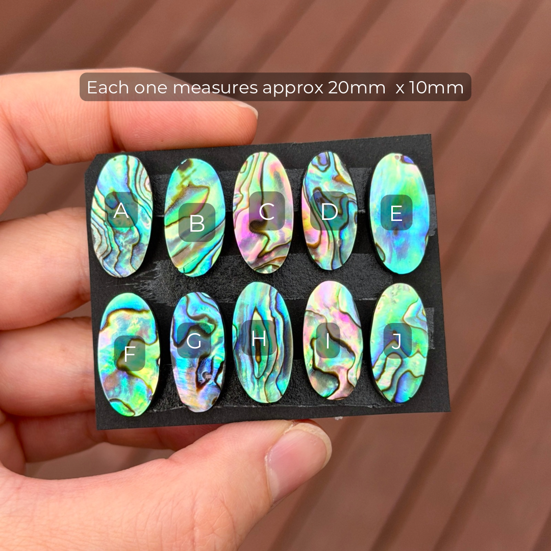 20x10mm Abalone Paua Shell (Iridescent) Oval Cabochon Smooth - Choose your Stone (W6)