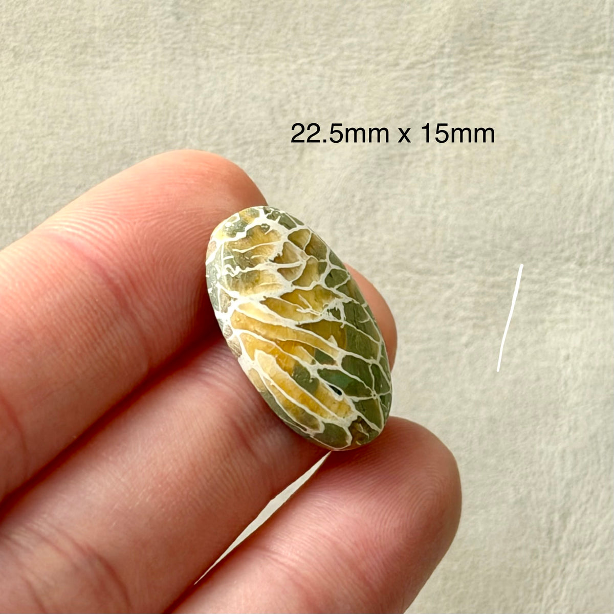‘Dragonfly Wings' Fossilised Coral Oval Cabochon - 22.5mm x 15mm (W3)