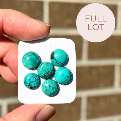 6pcs Green Hubei Turquoise round Cabochons Smooth - 9-10mm (FULL LOT) (W16)