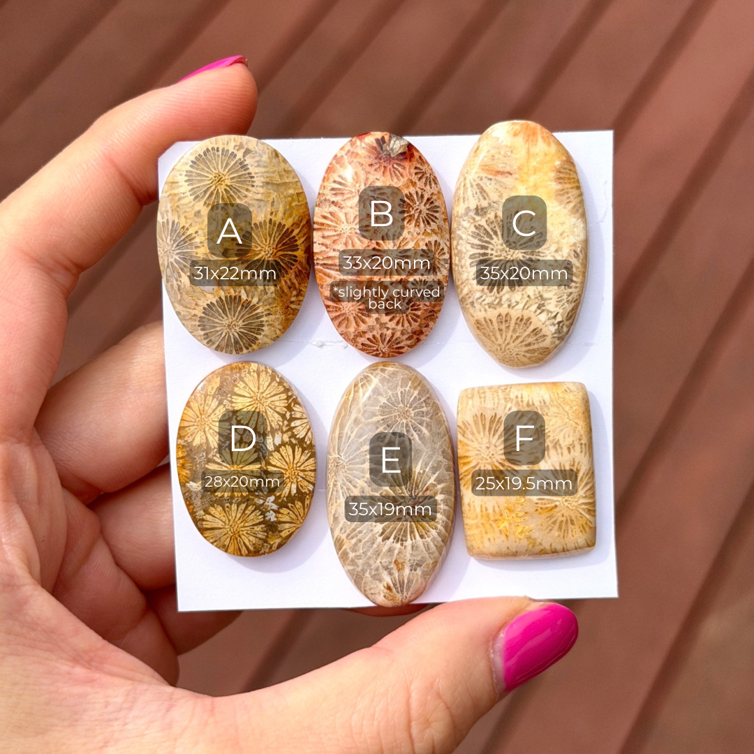 25-35mm Fossil Coral Cabochon Smooth - Choose your Stone (W13)