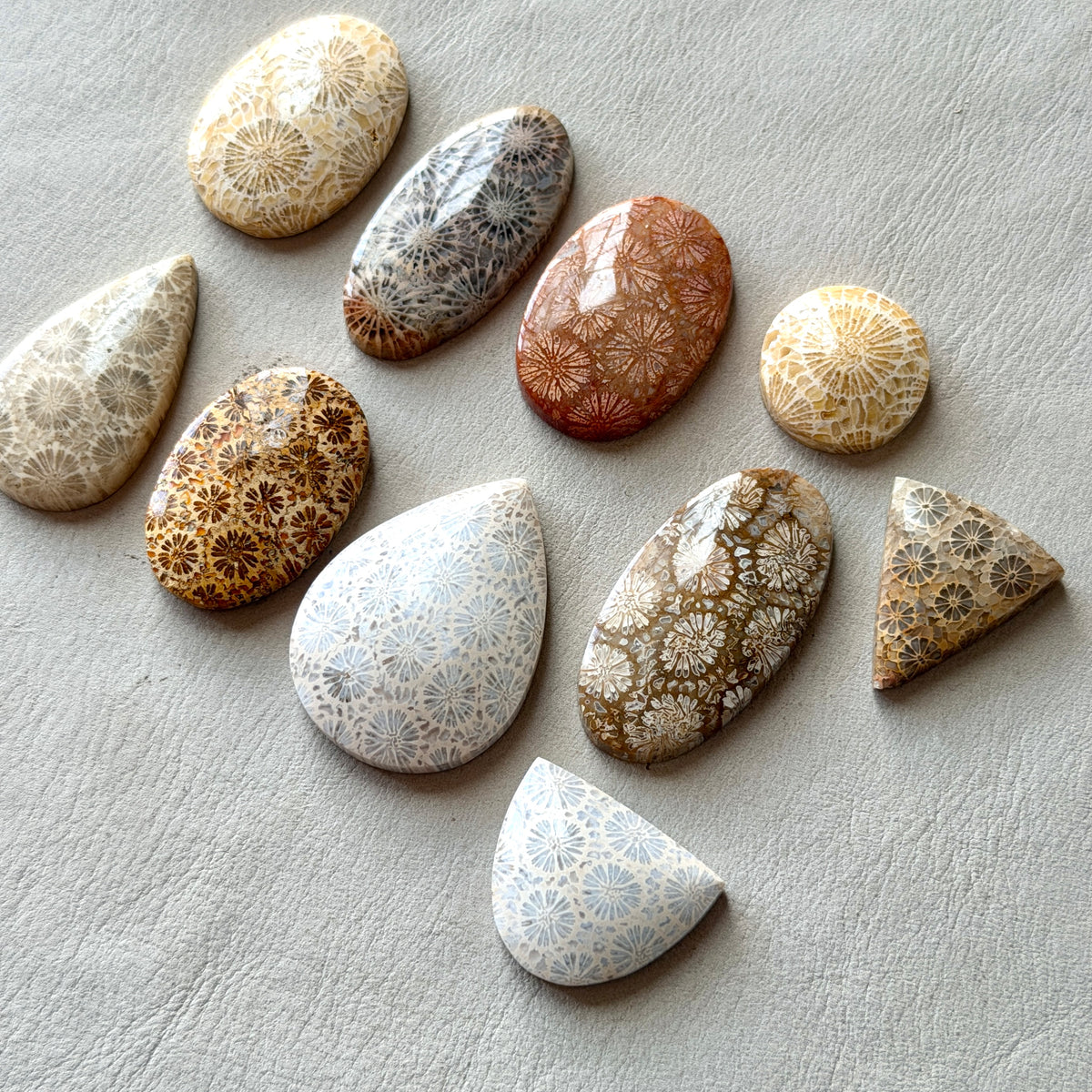 Fossilised Coral Cabochon Smooth - Choose your Stone (W17)