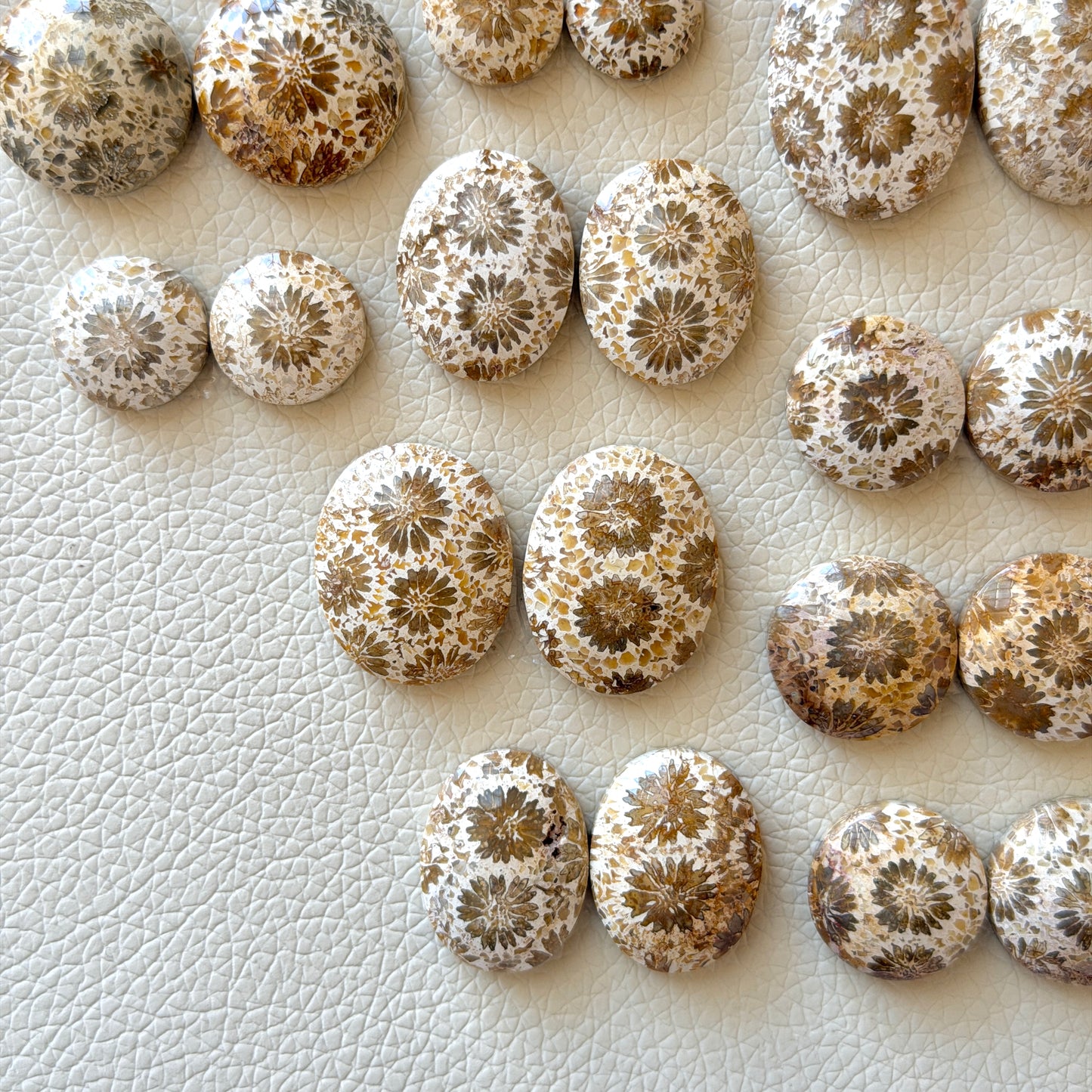 Cream/Beige Fossilised Coral Cabochon Pairs (Round & Oval) - Choose your Pair (W1)