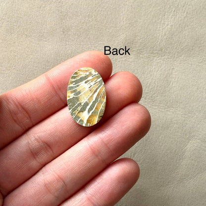 ‘Dragonfly Wings' Fossilised Coral Oval Cabochon - 22.5mm x 15mm (W3)