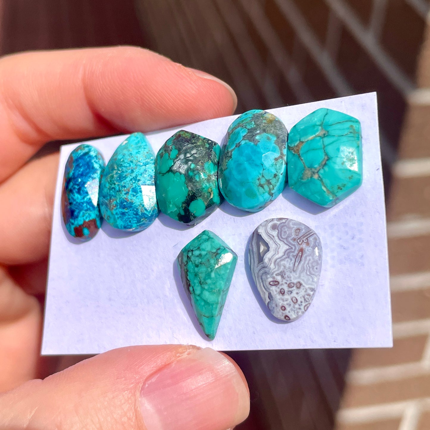 Shattuckite & Turquoise & Crazy Lace Agate Cabochons Rose cut - 7pcs (FULL LOT) [W11]