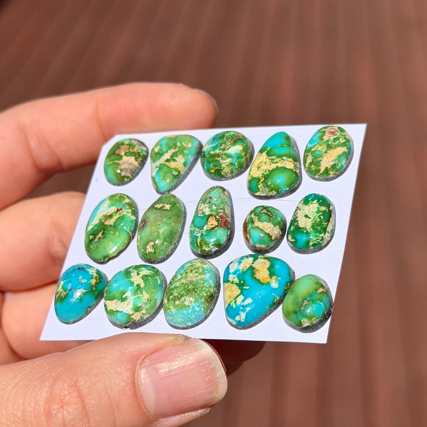 Sonoran Gold Turquoise Cabochon Smooth (Backed) - Choose your Stone (W6)