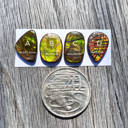 17-18mm Canadian Ammolite Cabochon Smooth - Choose your Stone (W5)